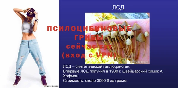 ешки Михайловка