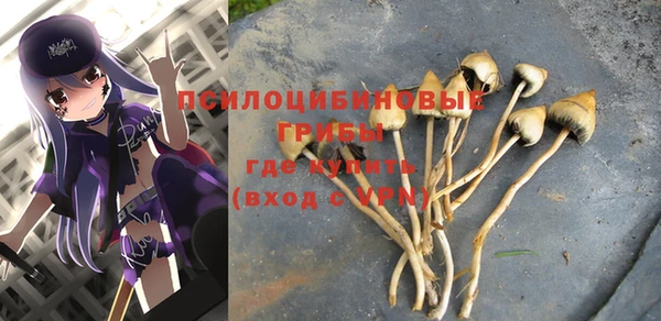 спайс Белокуриха