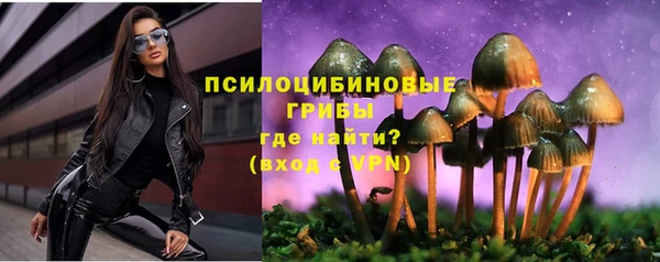 спайс Белокуриха