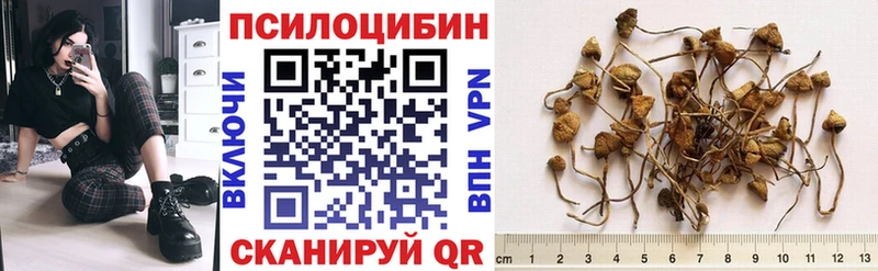 Галлюциногенные грибы Psilocybe  цена   мега как войти  Салават 